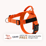 Extra No-Pull Harness & Free Bungee Lead