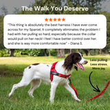 Paro No-Pull Dog Harness