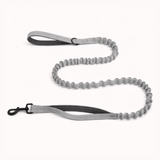 🎁 FREE Paro Bungee Lead