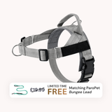 Extra No-Pull Harness & Free Bungee Lead