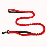 Paro Bungee Dog Lead