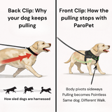 Paro No-Pull Dog Harness