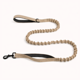 Paro Bungee Dog Lead