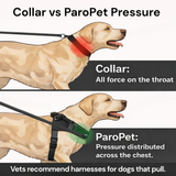 Paro No-Pull Dog Harness