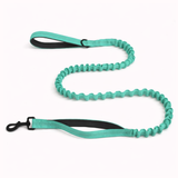 🎁 FREE Paro Bungee Lead