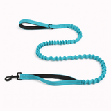 🎁 FREE Paro Bungee Lead