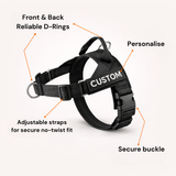 Paro No-Pull Dog Harness