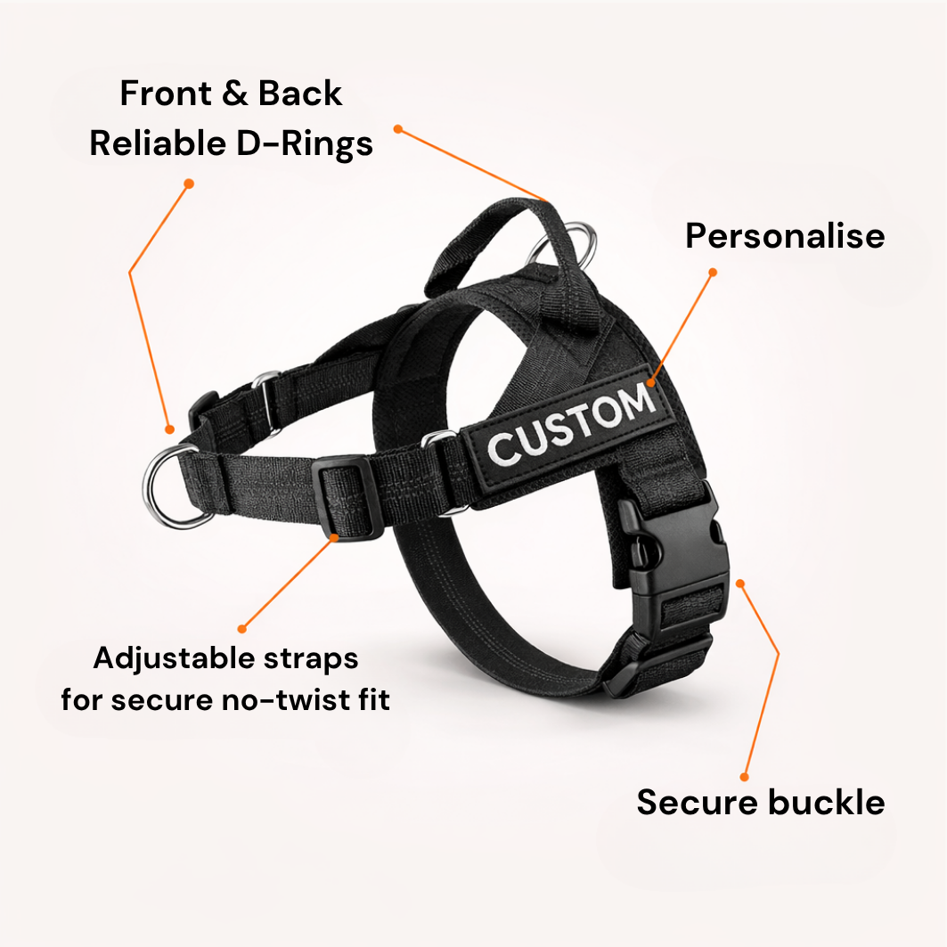 Paro No-Pull Dog Harness