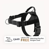 Extra No-Pull Harness & Free Bungee Lead