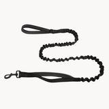 🎁 FREE Paro Bungee Lead