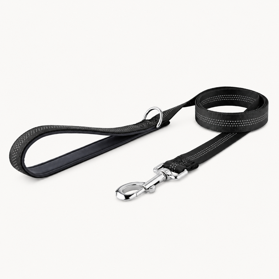 Paro Classic Dog Lead