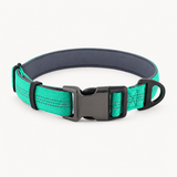 Paro Essentials Dog Collar