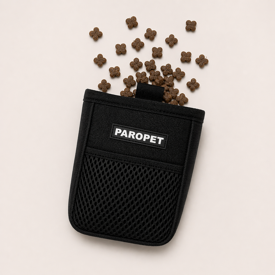 Dog Walk Treat Pouch