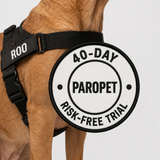 Paro No-Pull Dog Harness