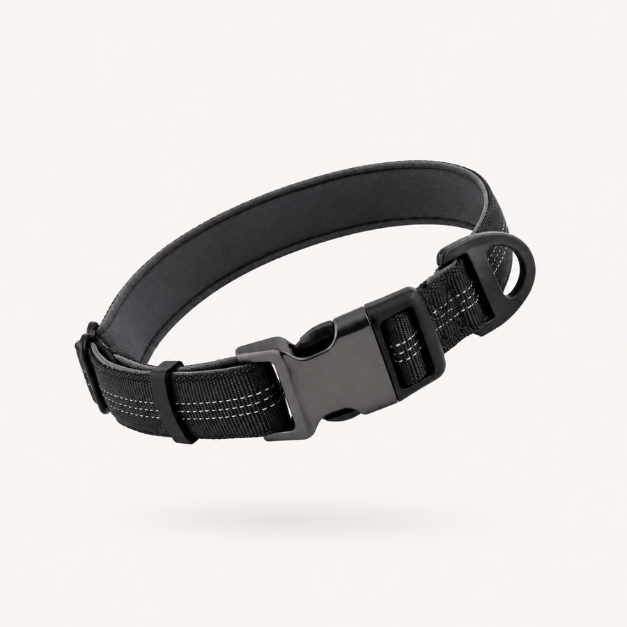 Paro Essentials Dog Collar