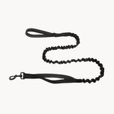 Paro Bungee Dog Lead