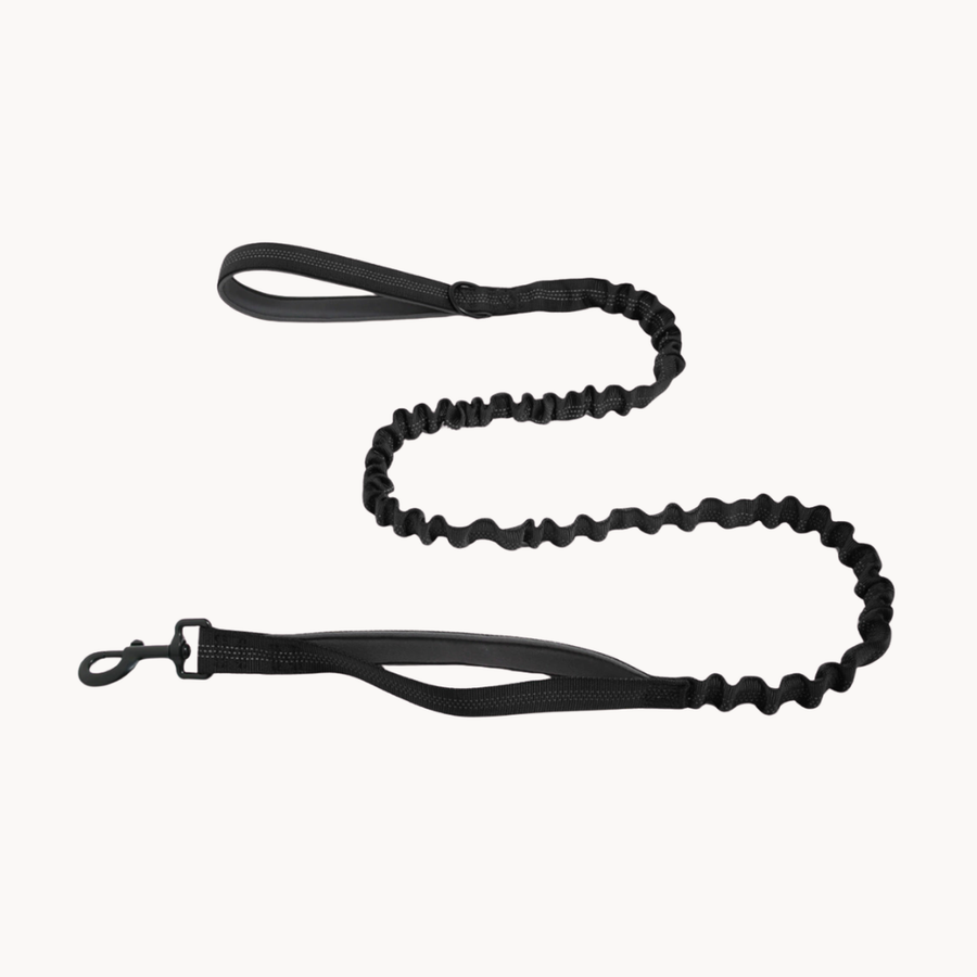 Paro Bungee Dog Lead