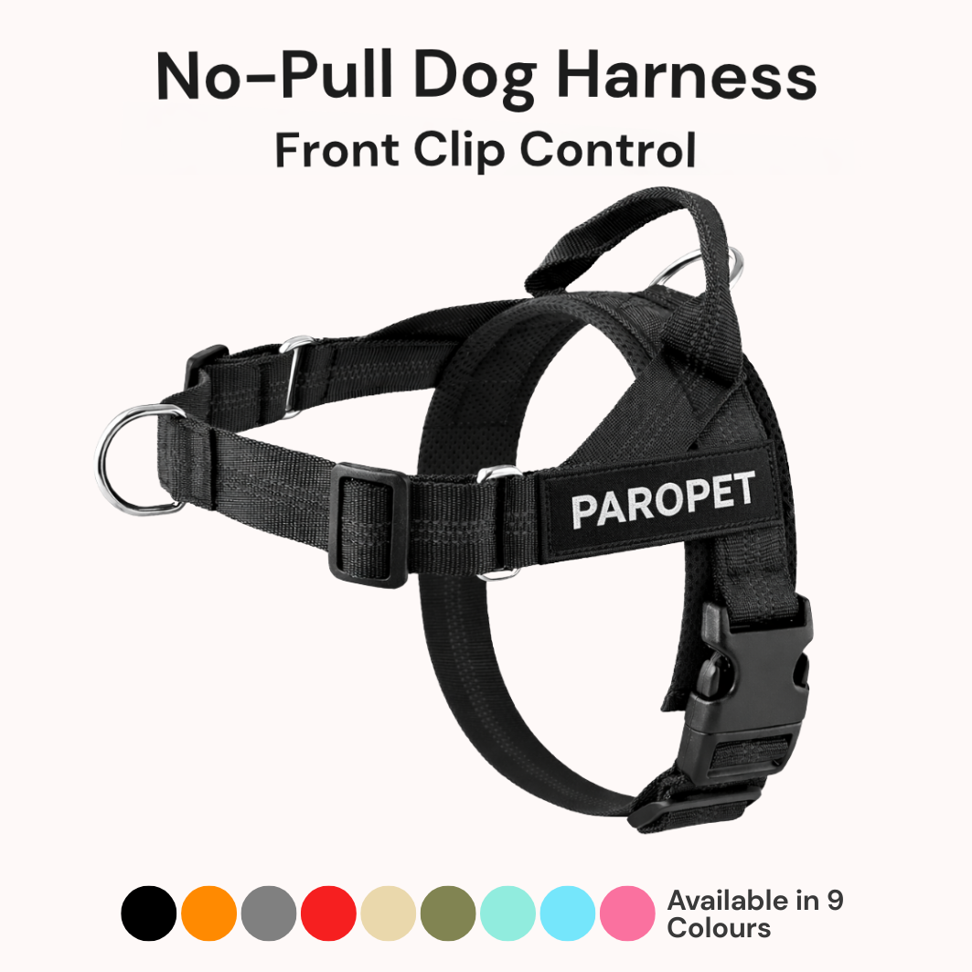 Paro No-Pull Dog Harness