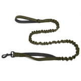 🎁 FREE Paro Bungee Lead