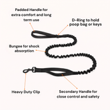 Parodog No-Pull Dog Harness