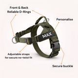 Parodog No-Pull Dog Harness