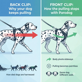 Parodog No-Pull Dog Harness