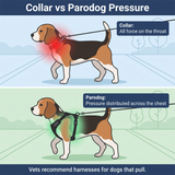 Parodog No-Pull Dog Harness