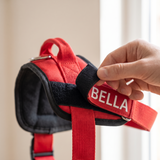 Parodog No-Pull Dog Harness