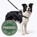 Parodog No-Pull Dog Harness
