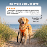 Parodog No-Pull Dog Harness