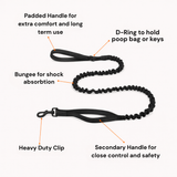 Paro No-Pull Dog Harness